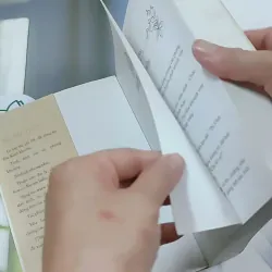 Giường Đơn Hay Giường Đôi - Cầm Sắt Tỳ Bà 744730