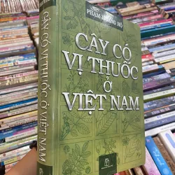 CÂY CÓ VỊ THUỐC Ở VIỆT NAM - PHẠM HOÀNG HỘ 