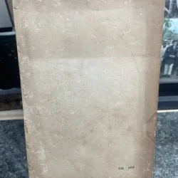 Con chim trốn tuyết Paul Gallico XB 1986 763293