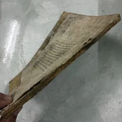 Êvarit Galoa 1025102