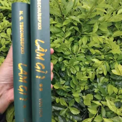 Làm gì ? Của Tsecnusepski 936564