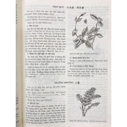 Những cây thuốc và vị thuốc Việt Nam - Đỗ Tất Lợi 52530