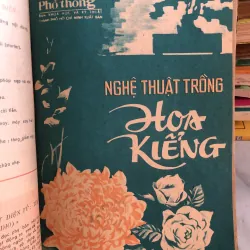 Phụ bản đóng tập xuất bản năm 1982 1001700