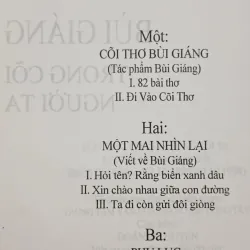Bùi Giáng trong cõi người ta 993528