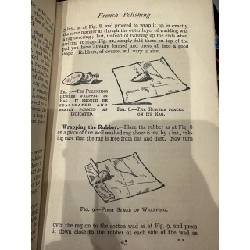 Staining and polishing - Evans Bros 740861