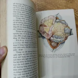 Ngoại khoa dã chiến 1009417