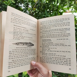 Cá Cảnh - PTS Sinh Học Võ Văn Chí 532117
