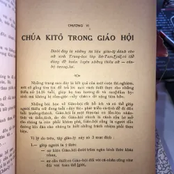 Chúa Kitô lý tưởng của chúng ta - Solange Chicault 1019367