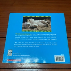PICTURE BOOK Knut How one little polar bear captivated the world 536433