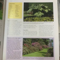 KNOWING AND GROWING ANNUALS & PERENNIALS (HIỂU VÀ TRỒNG CÂY HÀNG NĂM & LÂU NĂM) 689886