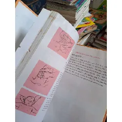 Phương pháp mới xoa bóp cho trẻ con - Toporek - bìa cứng 2003 mới 70% ẫm mọt nhẹ - MẸ VÀ BÉ - HCM0111 629234