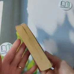 Beautiful - Danielle Steel 1027178