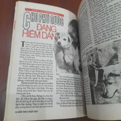 KIẾN THỨC NGÀY NAY số 16 ngày 01/4/1995 738058