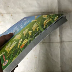 Có Một Miền Cỏ Thơm Bình Yên - Hoài Hương 785314