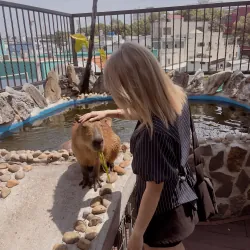 pass bộ này kèm cà vạt ạ