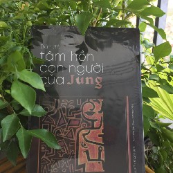 Bản Đồ Tâm Hồn Con Người Của Jung 15727