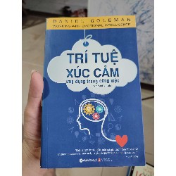 Trí tuệ xúc cảm ứng dụng trong công việc Tâm lý