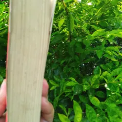 Đại cương triết học Trung Quốc  1032068