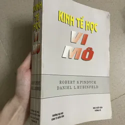 Kinh tế học vi mô 596060