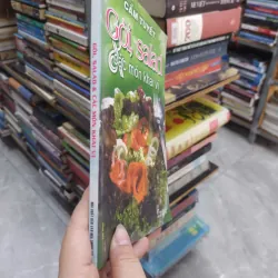 Sách: Gỏi, Salad và các món khai vị (B1) 716315