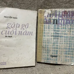 Gặp gỡ cuối năm - thời gian của người- Nguyễn Khải 