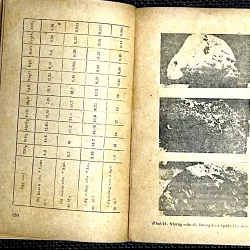 MẶT TRĂNG - THANH GIANG ( Biên soạn) 1027703