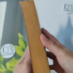 Sharpe's Triumph - Bernard Cornwell 1026748