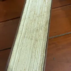 Tục tái sanh duyên Nguyễn Đỗ Mục 1024320