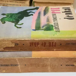 PIE ĐỆ NHẤT (Tác phẩm VH kinh điển Nga) - trọn bộ 2 tập 788799