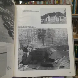 ẢNH VÕ ANH NINH 696584