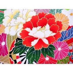 Trang phục trẻ em cho bé gái - Hàng hiệu Authentic 877465