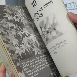 Dám Thành Công - Jack Canfield & Mark Victor Hansen 787105