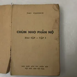 Chùm nho phẫn nộ Tập 1 - 1989s 719280
