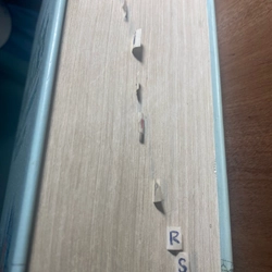 Từ điển Anh Việt 517133