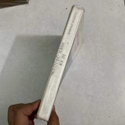 Người lữ hành kỳ dị (Tập 2) - Harold Robbin - 1989s 503011