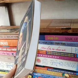 Thiếu Nữ Đeo Hoa Tai Ngọc - Tracy Chevalier  777061