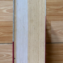 Từ điển Hán Việt, Việt Hán hiện đại (2 trong 1) 542301