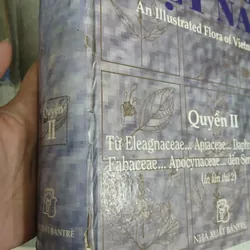 CÂY CỎ VIỆT NAM (QUYỂN I, II, III) - PHẠM HOÀNG HỘ 740112