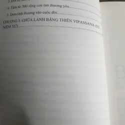 Sách Chữa lành nỗi đau - Phật Giáo Nguyên Thủy 660281