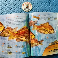 Bộ 3 sách khoa học tranh minh họa 원리가 보이는 과학  730500