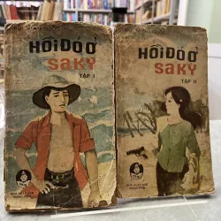 HỒI ĐÓ Ở SA KỲ - BÙI MINH QUỐC