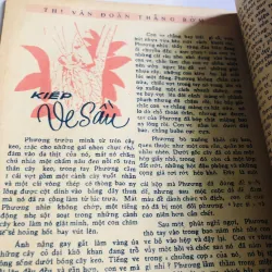 Báo Thằng Bờm ( Nguyễn Vỹ) - số 62 - 1971 776921