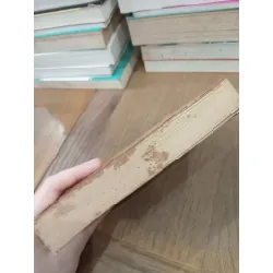 Angels in the gloom - Anne Perry 707639