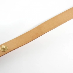 Túi đeo hông Louis Vuitton Monogram Pochette Florentine XS M51855+M67303 609106