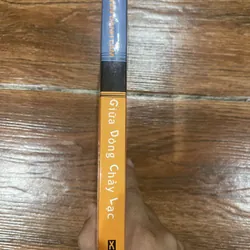 Giữa dòng chảy lạc - Nguyễn Danh Lam (8) 593315