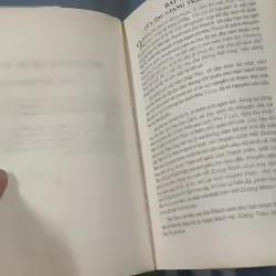 Hồi Dương Nhơn Quả 1018902