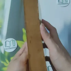 To Pleasure a Lady - Nicole Jordan 1027226