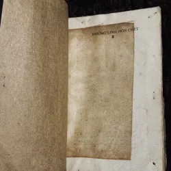 Những linh hồn chết 999154