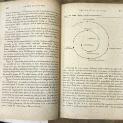 The New Golden Age - Ravi Batra 730853