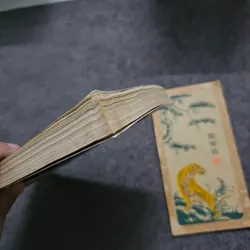 Thân phận của tình yêu ( nỗi buồn chiến tranh)- Bảo ninh 740508